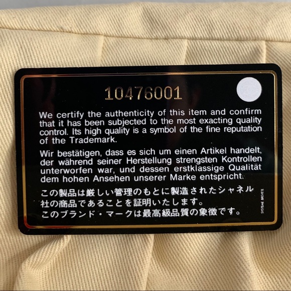 CHANEL Arc De Triomphe Canvas Shoulder Bag - Picture 13 of 16